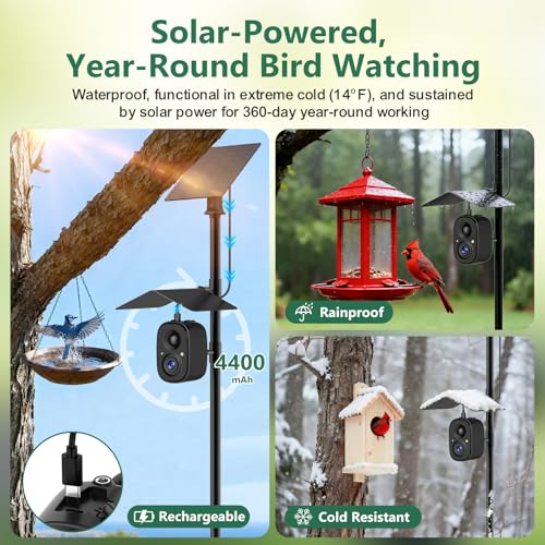 Smart Bird Camera Solar Powered with Pole for Feeder/Bath Birdwatching | 2.5K UHD Video Auto Capture, Free AI Bird Identification, Instant Alerts, Wireless Outdoor Cam, 2.4G, for Mom/Dad/Bird Lovers
