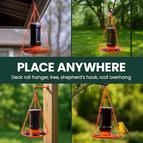 Perky-Pet Wild Oriole Jelly Bird Feeder, 32oz Capacity | Built-in Stirrer with Large Circular Feeding Tray, Wraparound Perch, Outdoor Garden Décor for Backyard Birding & Wildlife
