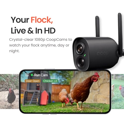 Smart Coop with Steel Run – Weatherproof, Predator-Proof Chicken Coop with Dual Smart Cameras, Automatic Door, Solar Optional for 4-6 Chickens - size: 102.9"L x 32.0"W x 54.8"H