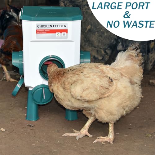 Float-Controlled Automatic Chicken Waterer & No Waste Feeder Kits - Chicken Coop Accessories, Poultry Waterer and Feeder, Two Buckets 3 Gallon/18-23 Pounds - color: Blue+Blue