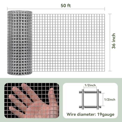 Amagabeli Hardware Cloth 1/2 inch 36 x 50 ft 19 Gauge Chicken Wire Fence Hot-Dipped Galvanized After Welding Wire Mesh Roll for Vegetable Garden Fencing Plant Supports Poultry Cage Snake Gopher - size: 1/2" 36"x50'