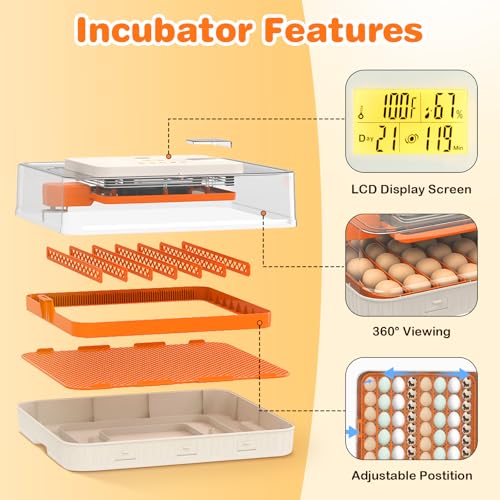 56 Egg Incubator, Incubator for Hatching Eggs with External Auto Water Refill, Auto Turner, LED Candler, Temperature Control, Incubator for Hatch Chick Duck Quail Poultry Home School Lab | with External Auto Water Refill, Auto Turner, LED Candler, Tempera