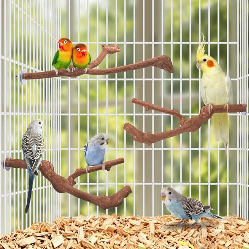 3PCS Bird Perch Natural Grape Stick Chewable Bird Stand Paw Grinding Branches Toy Cage Accessories for Small Budgies Cockatiels Lovebirds
