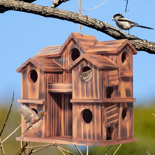MIXUMON Wooden Bird Houses for Outside – 10 Rooms Multi-Chamber Bird House, Carbonized Pine Rustic Finish, 1.57" Entrance Holes, Individual Cleaning Doors, Decorative Outdoor Bird Nesting Box