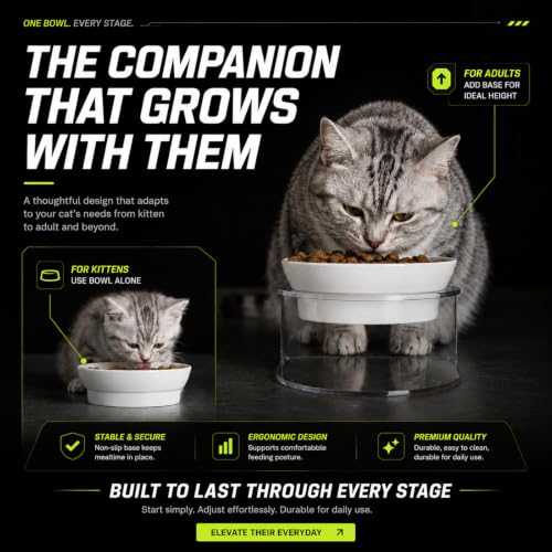 Raised Cat Bowl, 15° Tilted, 4.5 in High, White | 15° tilted shallow melamine bowl on a 4.5 in raised stand supports comfortable feeding and reduces whisker contact. - color: White