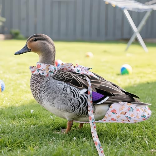 Chicken Diapers for Hens, Roosters, Diapers for Ducks with Walking Leash, Reusable Pet Duck Diapers Chick Clothes Waterproof Poultry Nappies for Geese Pet Ducks Chicken-Mushroom, M - size: M