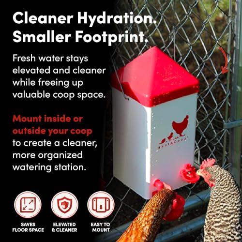RentACoop 1 Gallon Chicken Waterer with Cups & Nipples