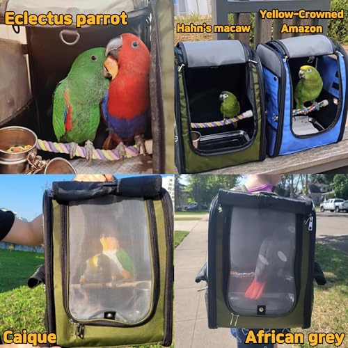 Birds Day Bird Carrier Backpack - Breathable Mesh Portable Parrot Travel Cage with 2PCS Perch, Food Bowl, and Stainless Steel Tray (Dark Olive Green) - color: Dark Olive Green