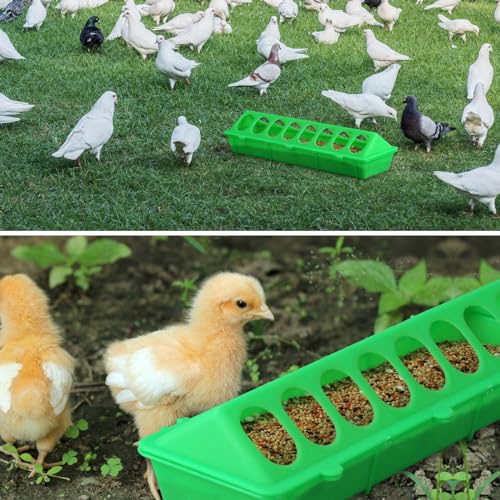 Flip Top Chick Feeder Trough, Plastic Bird Small Poultry Feeder | No Mess, No Waste Chicken Feeder for Small Chicks, Pigeons, Quails, Birds, Ducklings, Ideal for Using in a Brooder (Green) - color: Green