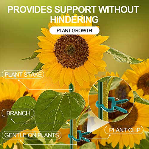 Yinghezu 40 Pcs Plant Support Clips,Tomato Plant Clips 2 Sizes in one Pack | Flower and Vine,Garden clips for Supporting Stems,Vines Grow Upright Climbing,Tool for Straightening,Tomato Cage,Trellis. - size: 40 PCS (20 small + 20 large)