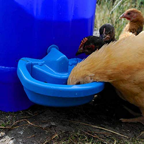 BEC MaxiCup Automatic Chicken Waterer Cup – Self-Filling Heated Poultry Drinker for Chickens, Ducks, Geese, Quail, and Small Animals – Gravity-Fed Chicken Waterer for Buckets & Tanks
