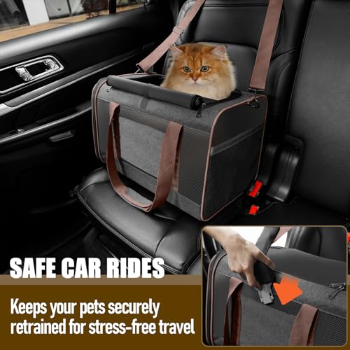 GAPZER Large Cat Carrier Soft, Collapsible Travel Pet Carry Bag, Small Dogs | Large Kitty Cat 20 lbs Maine Coon, Top Load Transport Small Puppy Dog Kennel, Yorkie Little Dog 10lbs, Ventilation Brown - color: Dark Grey-Brown