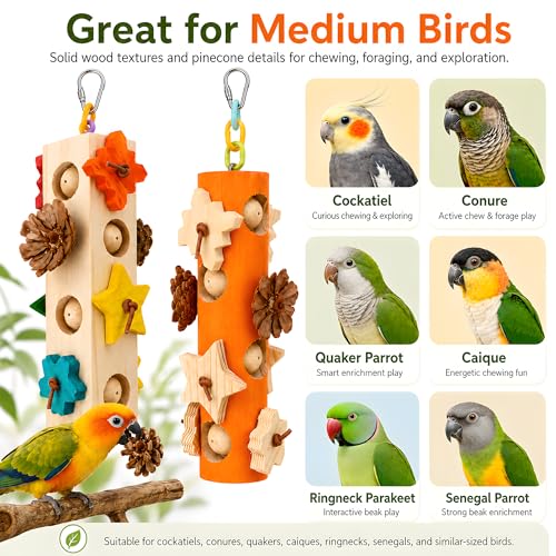 Bird Foraging Toy Parakeet Enrichment Puzzle Parrot Foraging Toys Wooden Blocks with Pine Cones Chew Play for Budgies Cockatiels Conures Quaker Small to Medium Birds