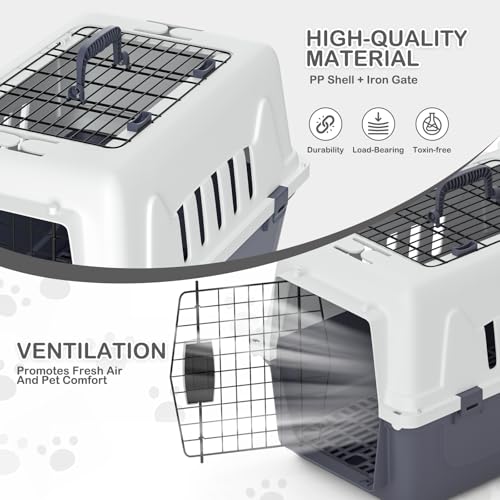 22-Inch Dog Crate Plastic 2-Door Top Loading Cat Carrier, Hard-Sided Dog Travel Carrier for Small Dogs and Cats, Ventilation and Security Lock Design for Pets up to 22 lbs (Grey)