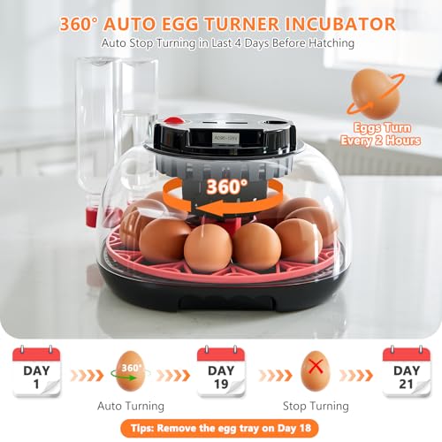 Incubators for Hatching Eggs - 12 Egg Capacity, Egg Incubator with Automatic Egg Turning and Temperature Control, Incubator for Chicken, Duck, Goose, Quail, 360° Full View, Home Farm Classroom Use