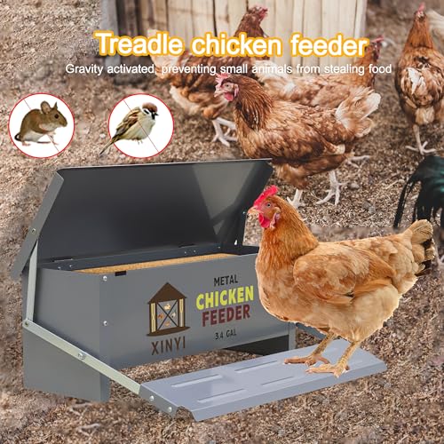 XINYI Chicken Treadle Feeder,25 Lbs Metal Treadle Feeder, No Waste & Rodent Proof Chicken Feeder with Weatherproof Lid, Suitable for Bantams, Poultry, Pheasants - 3.4Gallon Capacity - size: 3.4Gal