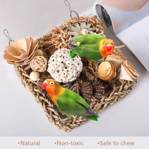 Bird Foraging Toys Natural Bird Toys Conure Toys Parrot Shredding Hanging Toys for Small to Medium Birds Parakeet Cockatiel Conure Lovebird Budgie