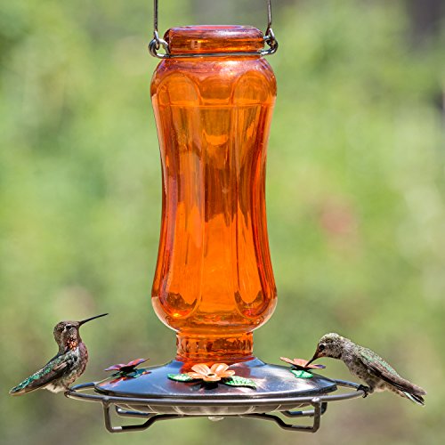 Perky-Pet PP8135 Vintage Carnival Glass Oriole Feeder