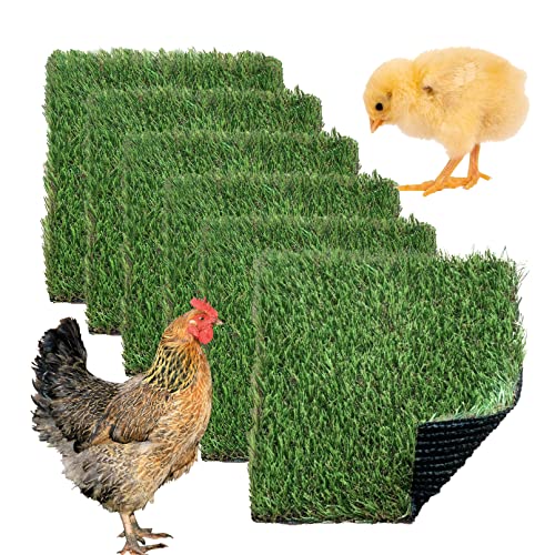 Chickens Nesting Box Pads 6 Pcs Washable Fake Turf Mats Grass Carpet Reusable Hens Nest Boxes Pad Chicken Coop Bedding for Laying Eggs (12 x 12 x 0.78 Inches) - color: 【Green】