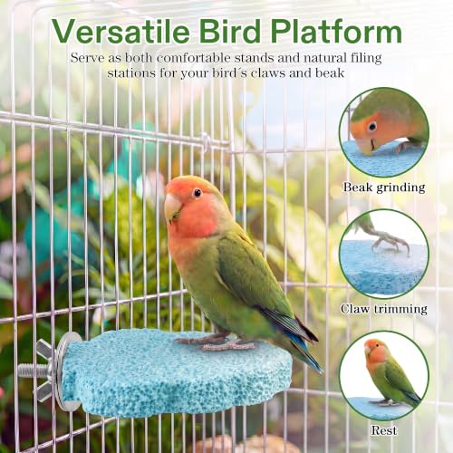 4 PCS Bird Beak Grinding Stone, Bird Perches for Cage, Parrot Perch Stand | For Small Medium Cockatiel Lovebird Finch Chinchillas Hamsters, Climbing Ledge, Grinding Claws and Beaks, Tree-shaped Design