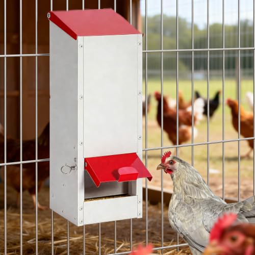 8Lbs Metal Chicken Feeder with Lockable Feed Door | Quail Feeders No Waste, Wall Mounted Poultry Feeder, Gravity Fed, Galvanized Steel Material, for Chicken Coop