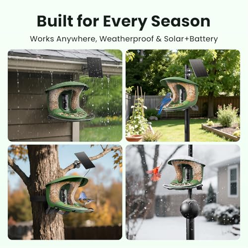 2 Smart Bird Feeder with Camera, AI Identifies Bird Species, Dual-Lens 2K Camera for Live Streaming & Close-Up Photos, Solar-Powered Backyard Birdwatching Gift