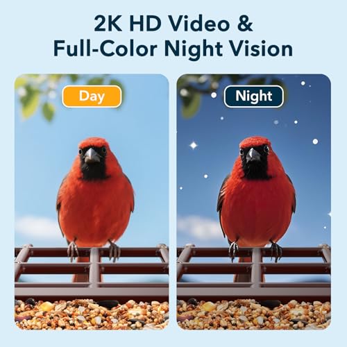 PeckCam® Bird Feeder with Camera Solar Powered 2K Live Video Auto Capture | AI Bird Species Identification, Instant App Alert, IP65 Waterproof, Easy Setup, Backyard Bird-Watching, Gift for Bird Lovers - color: Red