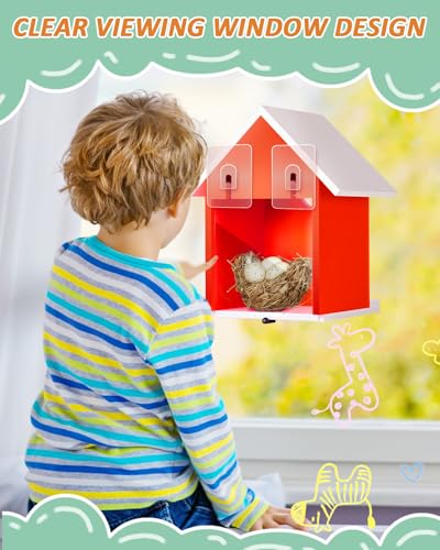 Water Proof Window View Bird House for Outside with 2 Powerful Hooks,Vinyl Birdhouse for Viewing Inside, Multifunctional Entrance For Various Birds 1.25" + 1.5" Hole, 10 Years Performance (Red）