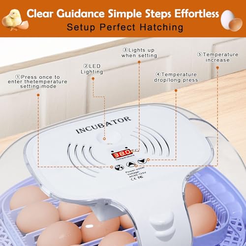 16 Egg Incubator with Automatic Egg Turning and Humidity Control,360 Degree View with Clear Window, Incubators for Hatching Eggs, Chicken, Ducks, Goose, Pigeon, Quail, Parrot - size: 16 Eggs