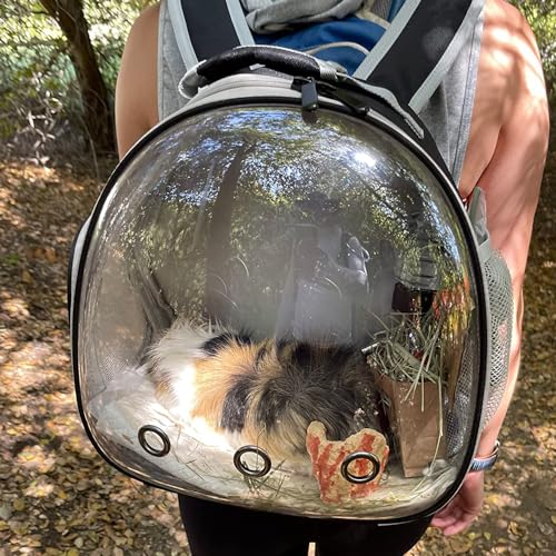 Guinea Pig Carrier Backpack,Lizard Backpack Carrier,Space Capsule Clear Bubble Window Astronaut Reptile Carrier Backpack for Bearded Dragon,Sugar Glider,Bunny (Pink, Backpack) - color: Pink