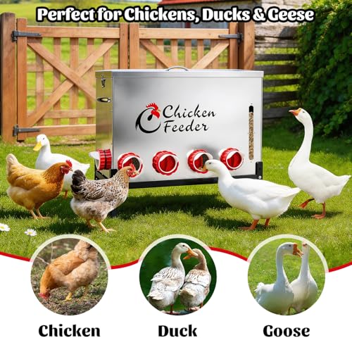 120LB Metal Chicken Feeder, Rat Proof Automatic Large Chicken Feeder with Visible Window &10 Ports, Galvanized No Waste Poultry Feeder for Chickens, Ducks, Geese - size: 120 LBS