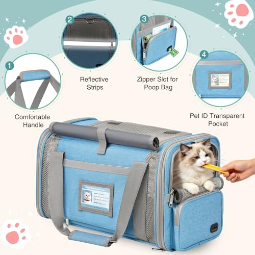 Cat Carrier Airline Approved Privacy Portable Top Load Pet Travel Bag | Soft Sided Pet Carriers for Small Cats Dogs Puppy up to 16 Lbs,Collapsible,Zipper Lock,Luggage Sleeve,2 Storage,Washable - color: Sky Blue