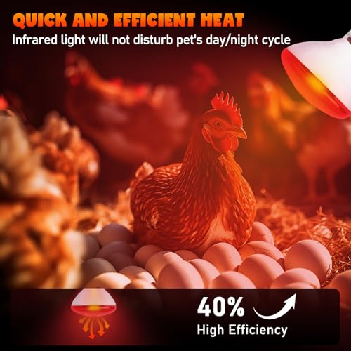 LUCKY HERP Heat Lamp Bulbs for Chickens, 150W Infrared Heat Lamp 1 Pack, Red Heat Lamp Bulbs for Reptiles, Pets, Brooder Coop and Poultry - style: 150 Watts 1 PACK