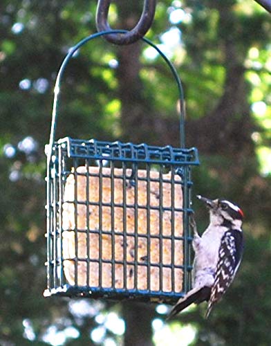 Wildlife Sciences Suet Cake Jumbo Mixed 20 Pack | 10 Peanut & 10 Berry 10.5 oz. Suet Cakes for Wild Birds