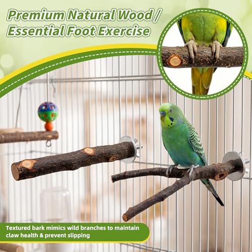 8 Pcs Natural Wood Bird Toys & Perches Set for Cages | Ideal for Small/Medium Parrots (Budgies, Conures) | Birch Ladder, Swing and Foraging Items for Cage Gym | Tool-Free Mount - size: Bird Toys & Perches Set