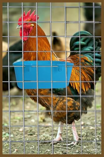 20 Pack Cage Cups Feeder Waterer Food Bowl 25 OZ Water Dispenser Hanging Seed Dish Drinking Coop Cup Treats Container for Chicken Bird Rabbit Bunny Parakeet Pigeon Small Animal Poultry Cat - size: Blue 25 OZ Pack of 20