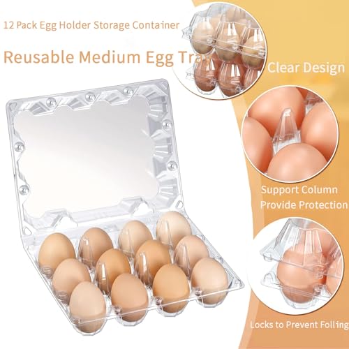 12 Packs Egg Cartons 4x3 Plastic Egg Carton Cheap Bulk 1 Dozen - size: Holds 12 eggs-12Pack