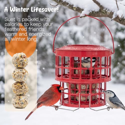 KOL All-Metal Suet Bird Feeder, Heavy-Duty Double-Layer Suet Ball Feeder for Wild Birds, 360° Feeding with Drainage Tray, Ideal for Suet Balls and Seed Cakes (Red) - color: Red