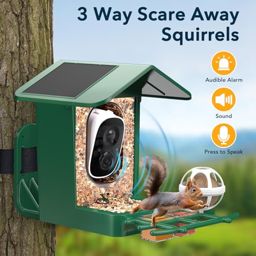 PeckCam® Bird Feeder with Camera Solar Powered 2K Live Video Auto Capture | AI Bird Species Identification, Instant App Alert, IP65 Waterproof, Easy Setup, Backyard Bird-Watching, Gift for Bird Lovers - color: Green