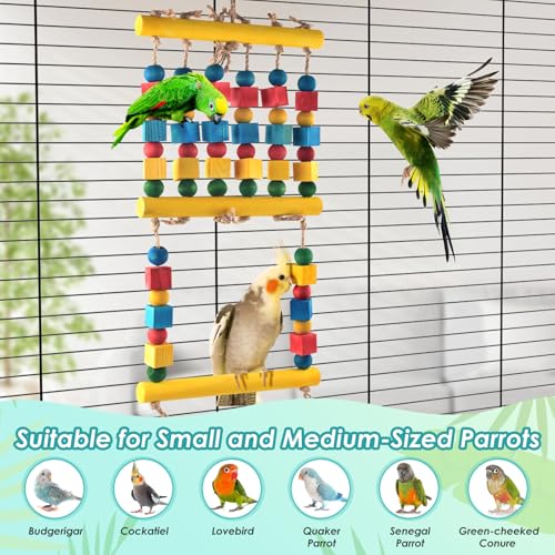 DBNESS Bird Toys, Parrot Chew Swing Toy with Perches Stand, Hanging Colorful Wood Block Bird Cage Accessories for Small to Medium Quaker African Grey Budgie Cockatiels Amazon Parrots