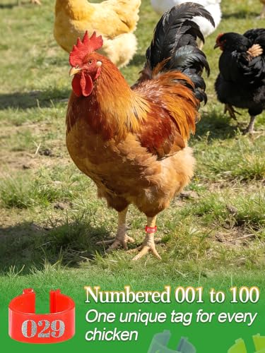 MEWTOGO 0.6in 100 Pcs Numbered Chicken Leg Identification Bands | Openable Reusable Readable 1-100 Poultry Leg Rings for Ducks Goose Gamefowl Turkey, Chicken Coop Accessories - size: 0.6in