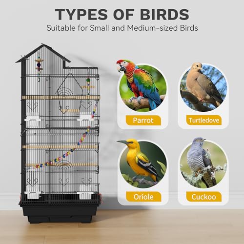 DWVO 62-inch Metal Bird Cage | Bird Cage Spacious for Cockatiels, Parrots, Pigeons, Lovebirds, Features Roof Access and Rolling Stand Black - color: Black