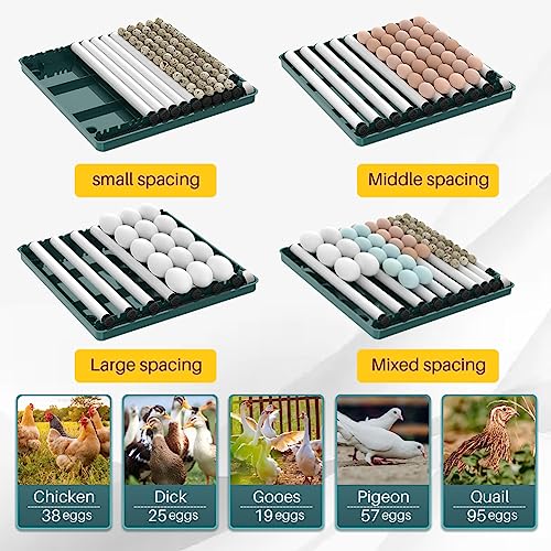 Automatic Egg Incubator 12-38 Egg Digital Poultry Hatcher Machine ith Automatic Egg Turning, Temperature & Humidity Control, Efficient LED Lighting for Chicken Geese Ducks Pigeons Quails (38 Eggs) - style: 38 Eggs