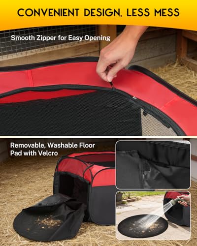 Magicfly Brooder Box for Chicks Starter Kit with 15 x 11 Inch Heating Plate | Chicken Brooder Tent with Chicken Perch, Feeder & Waterer, Holds Up to 15 Chicks, Duck, Quail - color: Complete Starter Kit(Heating Plate Included)