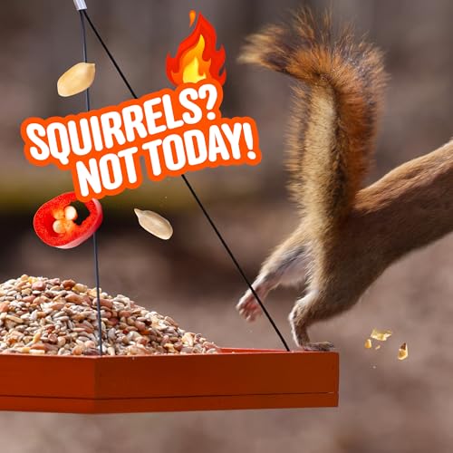 Cool Birds No Mess Sad Squirrels Hot Bird Seed, 10 lb | Spicy shell-free blend of peanuts, sunflower hearts & chili pepper oil – Birds can't detect heat, critters can