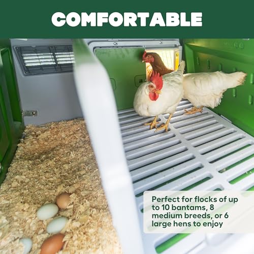 Omlet Eglu Cube Large Chicken Coop | Easy to Clean Plastic Chicken Tractor | The Most Secure Hen House for Complete Peace of Mind | Weatherproof Cool in Summer and Warm in Winter | Green