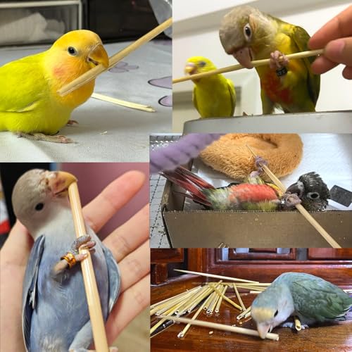 Hamiledyi Natural Bird Toys Foraging Parrot Shredding Toys Wheat Straw Chewing Toy for Cockatiel Lovebird Parakeet Budgie Small-Medium Birds (100 Pieces) - size: 100 pieces
