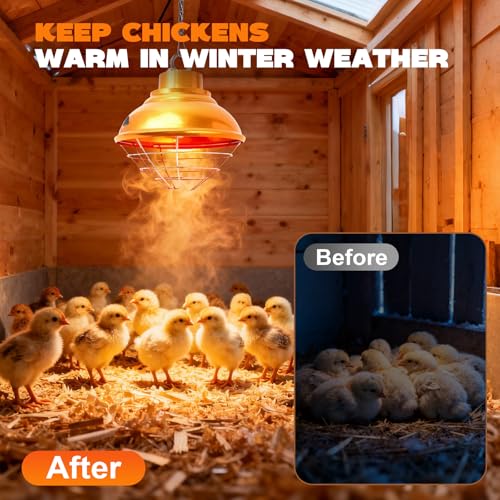 Chicken Heat Lamp 350W,Chicken Coop Heater with Carbon Fiber Bulb,Winter Hanging Heat Lamp for Chickens Brooder,Two-Temperature Adjustable (175/350W) for Puppy,Kitten and Poultry