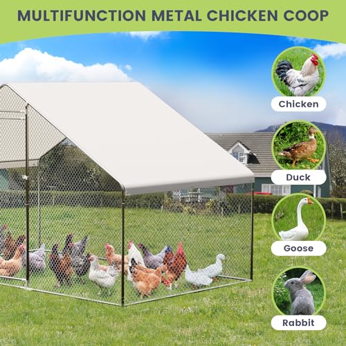 Large Metal Chicken Coop, Large Chicken Run, Walk-in Poultry Cage with Waterproof and Anti-UV Cover for Outdoor Yard Farm Use (9.8' L x 6.5' W x 6.6' H)