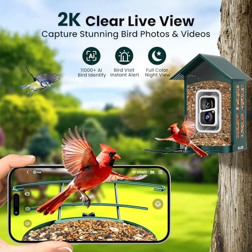 SOLIOM Bird Feeder with Camera, Solar Smart Bird Feeder Camera with AI Bird Identification, 2K HD Live View & Instant Alerts, Squirrel-Proof Metal Outdoor Bird Feeder, Bird Watching Gift Set (Green) - color: Green Medium Set